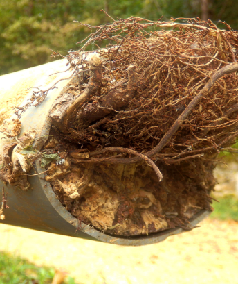 Blocked Drains Sydney